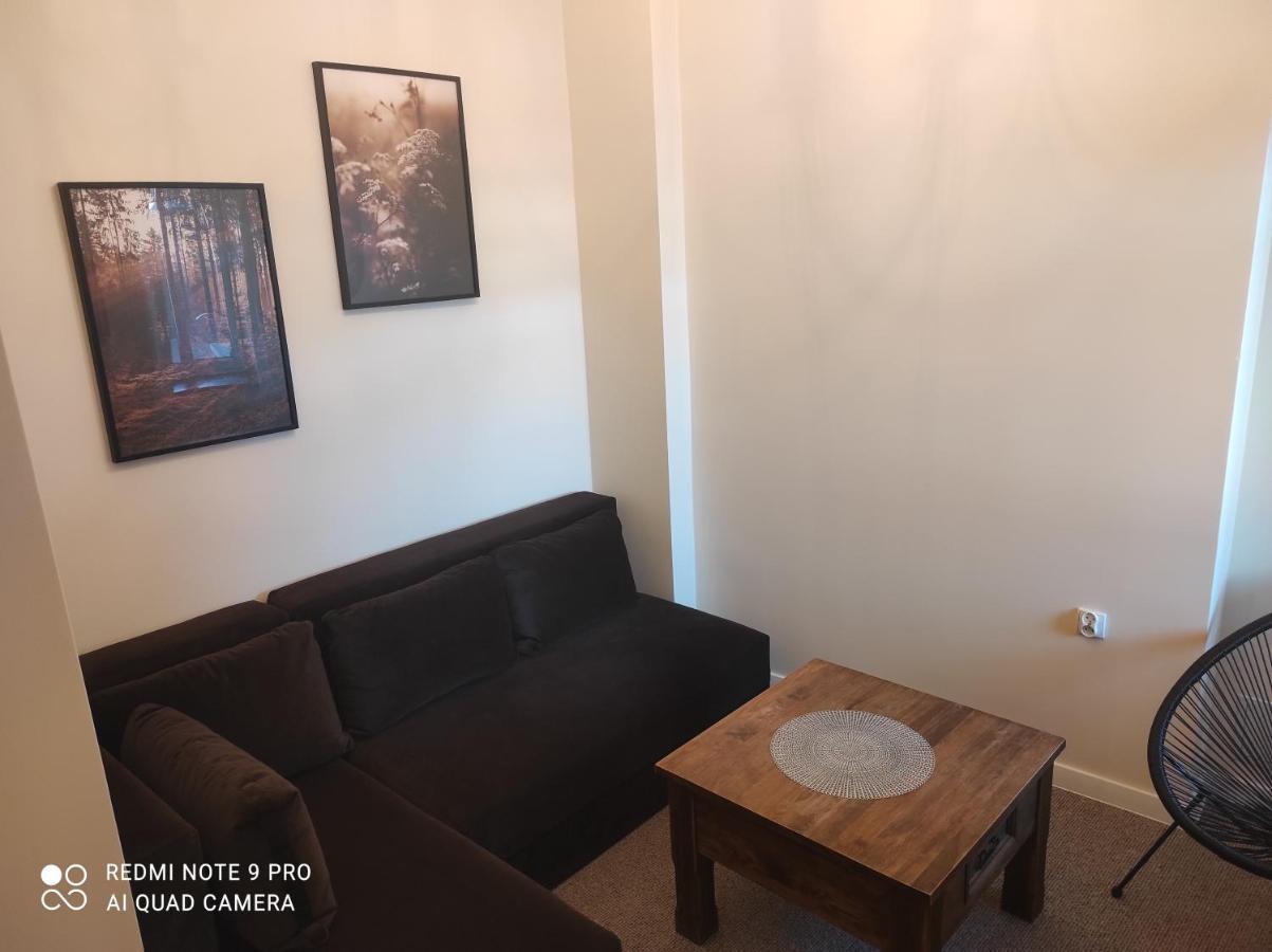 Bocianowka Z Sauna I Fotelem Masujacym W Cenie Ustron Exterior foto